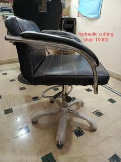 hair cutting hydraulic chair