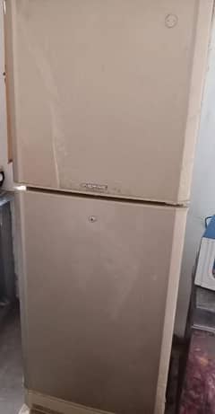 PeL fridge