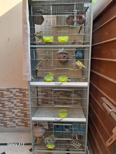 angle cage for sale 5