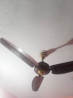 Fancy Fan New Condition