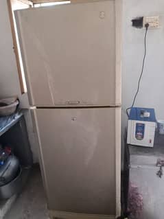 peL fridge