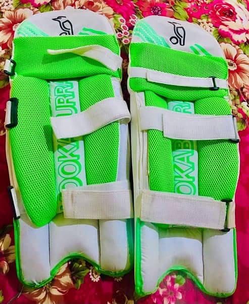 Kooka burra  pads 1