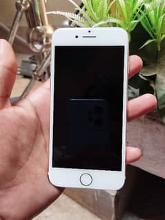Apple Iphone 7 Pta Approved (32 Gb)