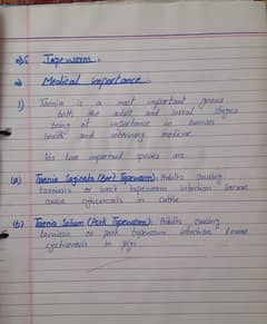 Handwritten assignment work