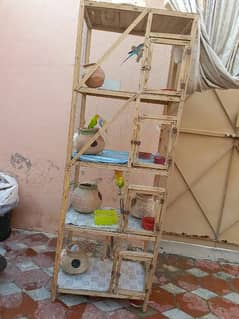 9 Parrotts For Sale With Cage