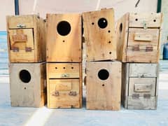 8box & 3 cages for lovebird