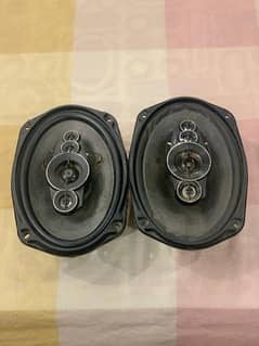 Pioneer Original Speakers (Made In Vietnam)