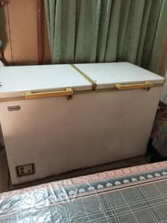 Waves double door Freezer with Wooden Stand