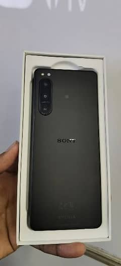 sony Xperia 5 iv non pta