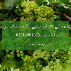 grapes for sale