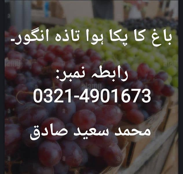 grapes for sale 1