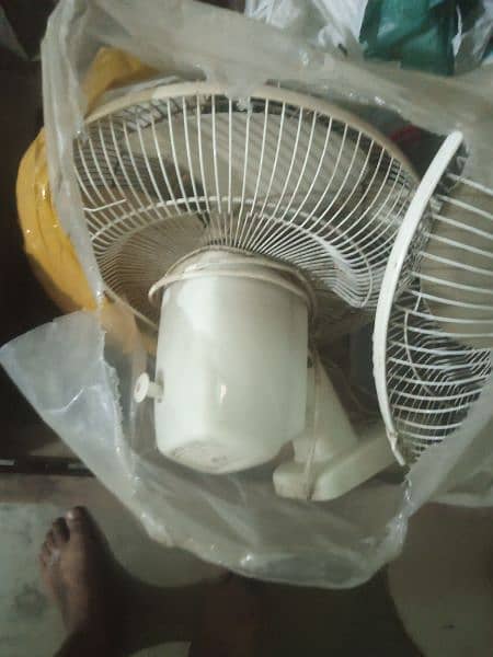 10/10 condition large fan 1