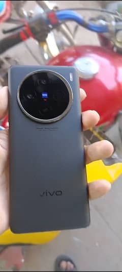 Vivo