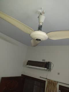 Millat ceiling fan 56" for sell