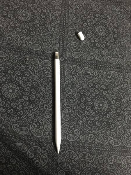 apple pencil 1 1