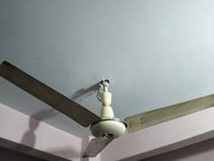 Ceiling Fan