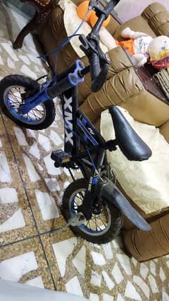 12 size aluminium branded cycle made in Taiwan 0