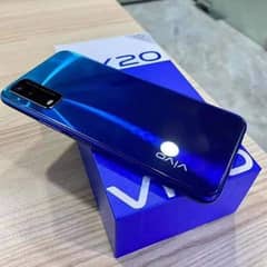 vivo