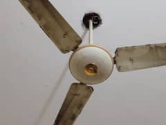 sufi ceiling fan for sell.