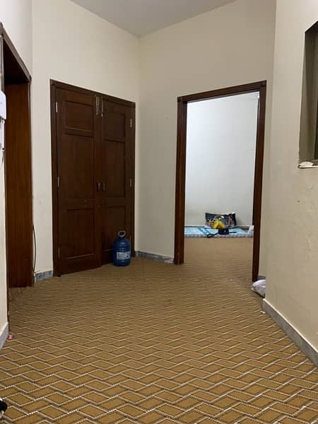 Full house carpet , 2 rooms +corridors. 2