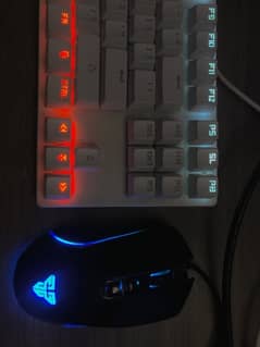 Gaming Keyboard and Mouse