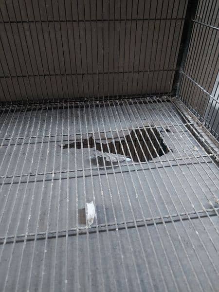 2x2x2 cage for sale 4
