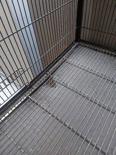 2x2x2 cage for sale 5