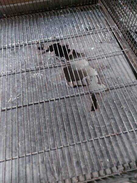 2x2x2 cage for sale 6