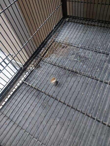2x2x2 cage for sale 7