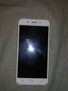 vivo y66