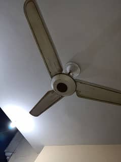 full size pure coper fan