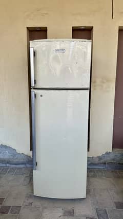 Electrolux fridge (2.5 years used) medium size fridge