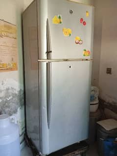 full size Jambo fridge,,(pel)