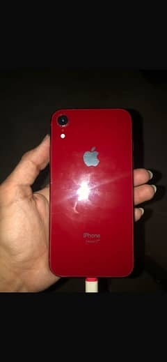 iPhone xr