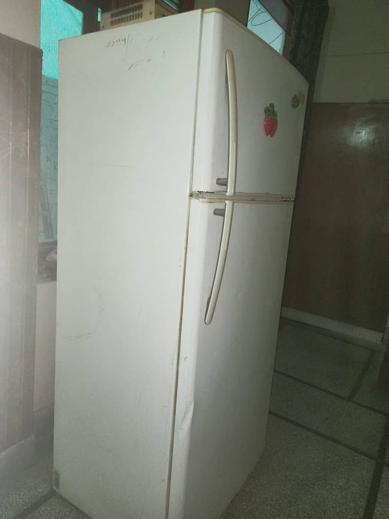 Kelvinator refrigerator 10