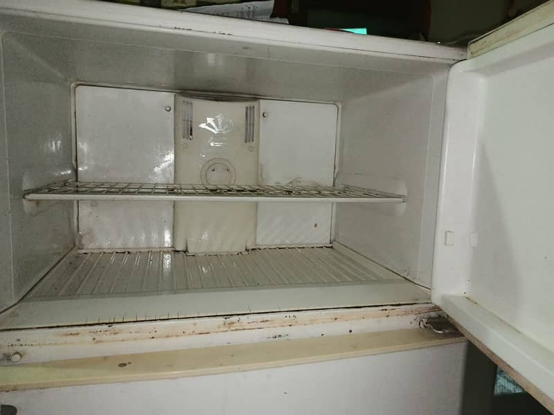 Kelvinator refrigerator 12