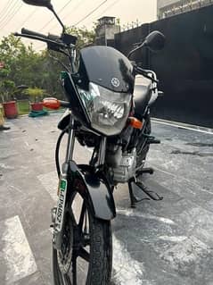 Yamaha YBR 125 (2019) (Black)