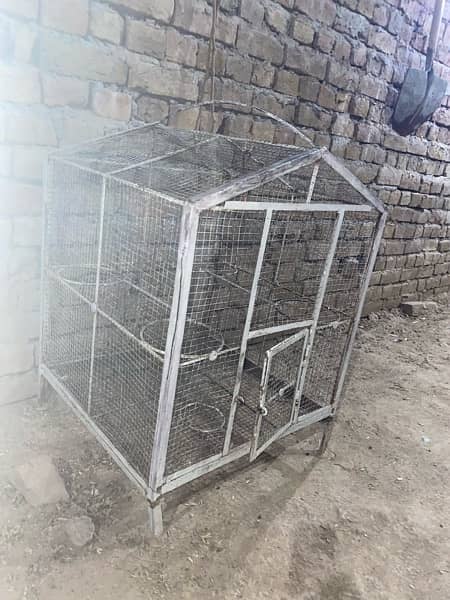 bird cage boht mazbot 1