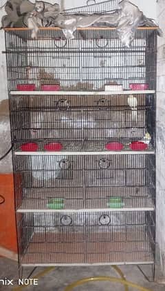 bird cage sell and cocktail 5000 pur pair total 7pair hn