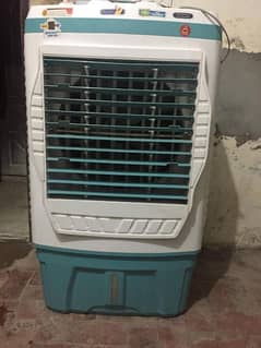 Asia Cooler 10 by 10 condition