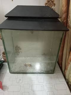 FISH GLASS AQUREUM