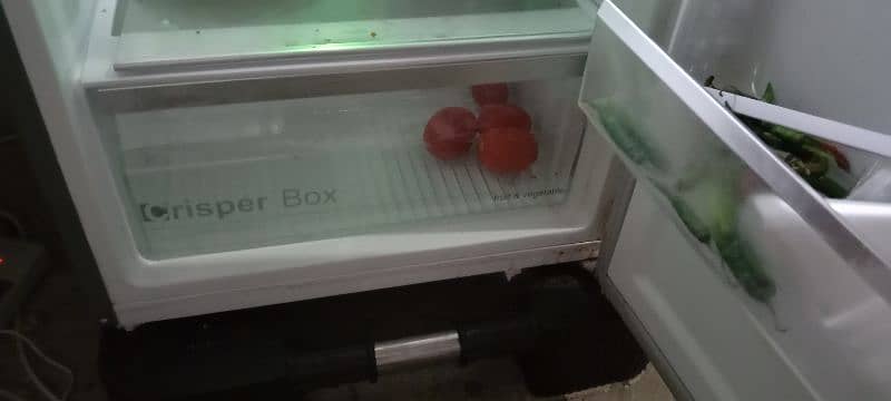 No Frost Double Deep freezer 4