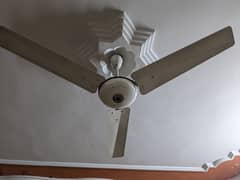 GFC 220v AC fan in God working condition ( makes sound ) 0