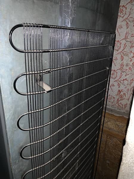 Orient  2 door fridge 4
