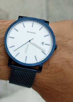 skagen men's watch