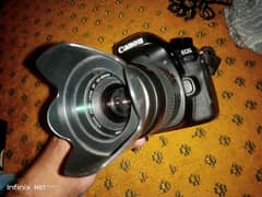 dslr canon 80D