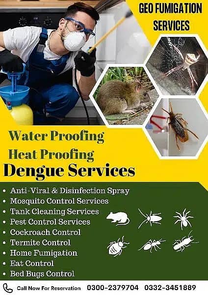 Termite Service/Cockroaches/Bed bugs/Rats & Dengue Services 3