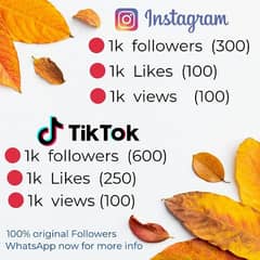 Tiktok,