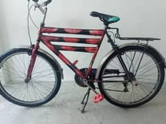 cycle for sale