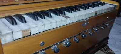 original indian harmonium